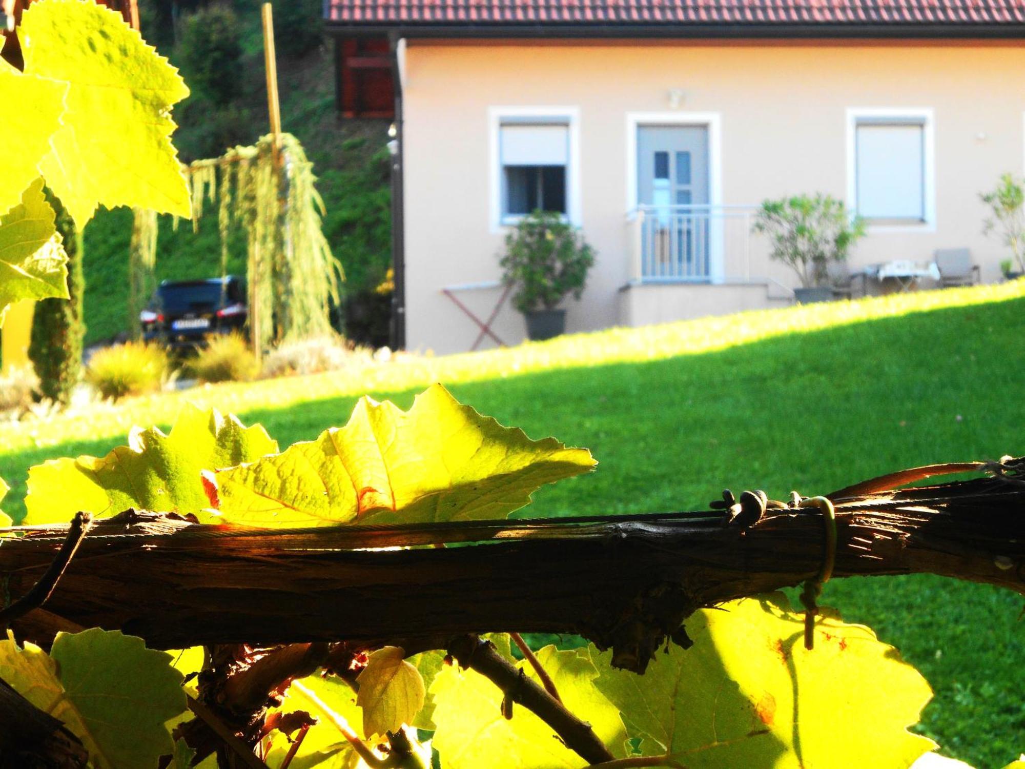 Ferienwohnungen Karin Am Seggauberg Leibnitz Exterior foto