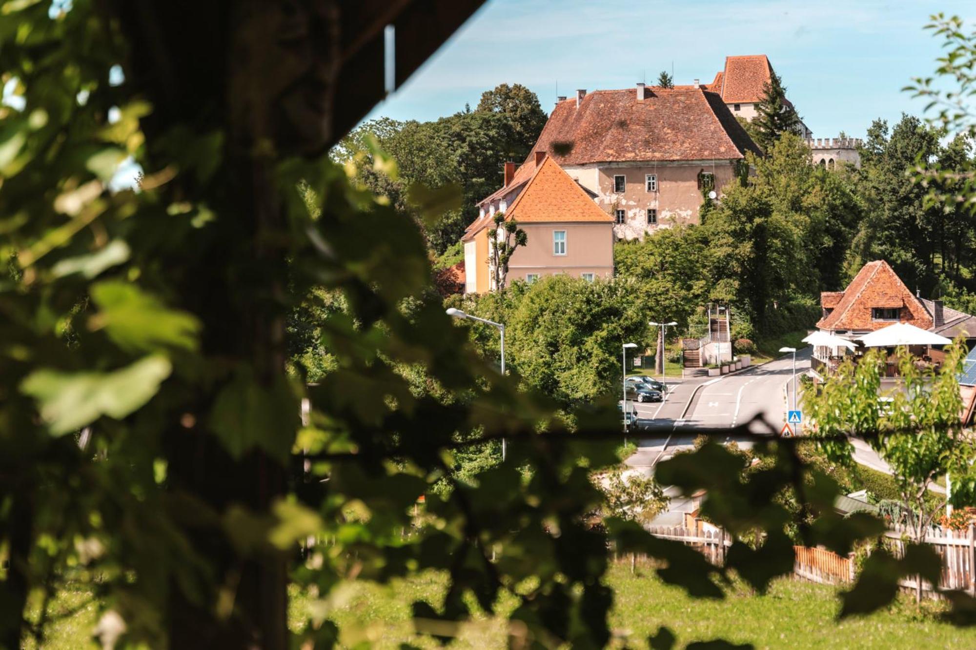 Ferienwohnungen Karin Am Seggauberg Leibnitz Exterior foto